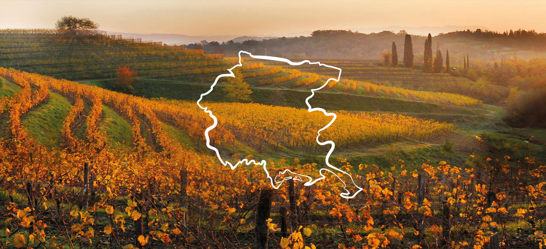 Il meglio del Friuli sulla tua tavola