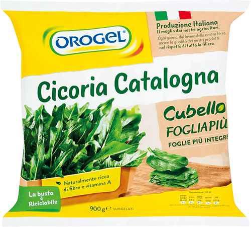 CICORIA CATALOGNA OROGEL