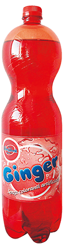 VIVIDRINK GINGER