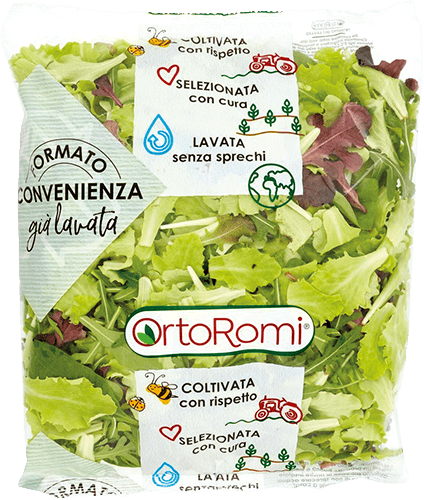 INSALATA MISTA ORTOROMI