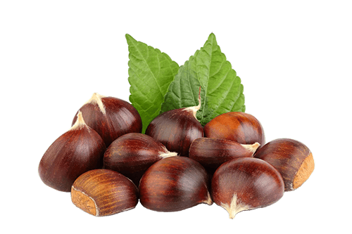 CASTAGNE EXTRA