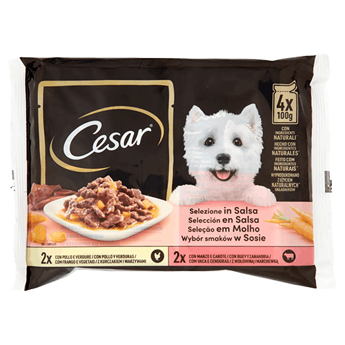 ALIMENTO CANE CESAR MULTIPACK GR 100 X4
