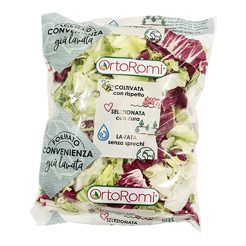 INSALATA MISTA ORTOROMI GR 350
