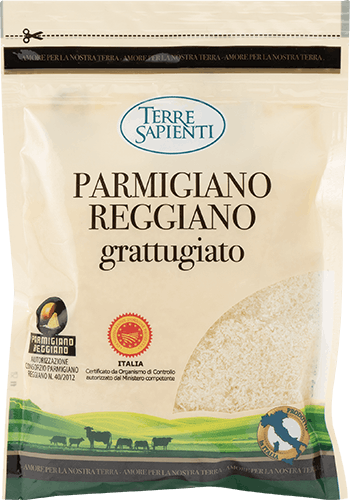 TERRE SAPIENTI PARMIGIANO REGGIANO GRATTUGIATO 100 G