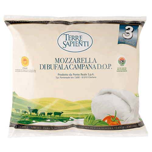 TERRE SAPIENTI MOZZARELLA DI BUFALA CAMPANA DOP 3 X 100 G