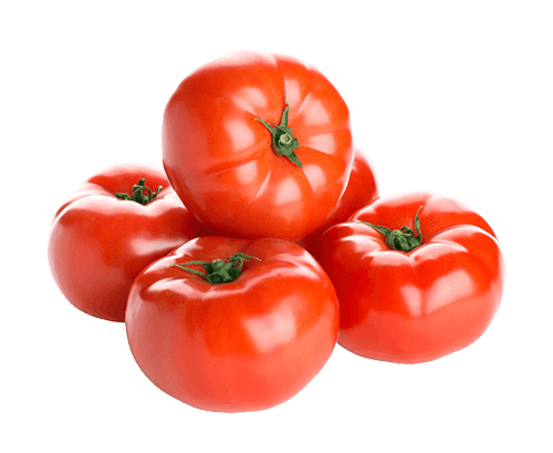 POMODORO INSALATA
