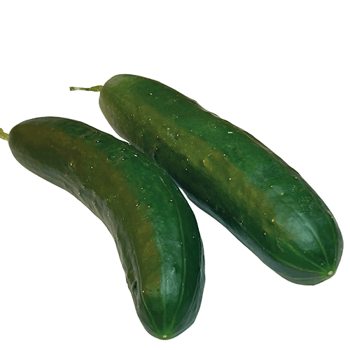 CETRIOLI 100% ITALIANO